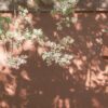 令妃は乾隆帝に本当に毒殺されたのか？その真相とは？という記事