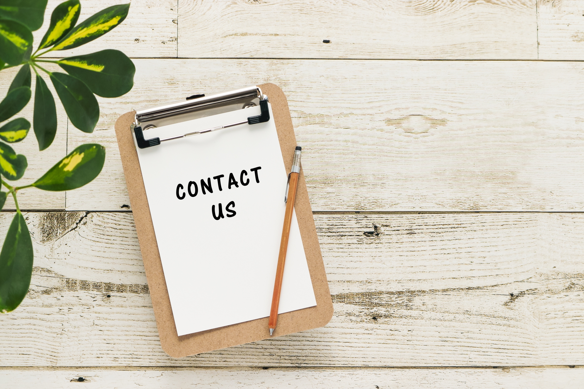 Contact