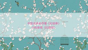 中国古典名作選《紅楼夢》/小戏骨版《红楼梦》